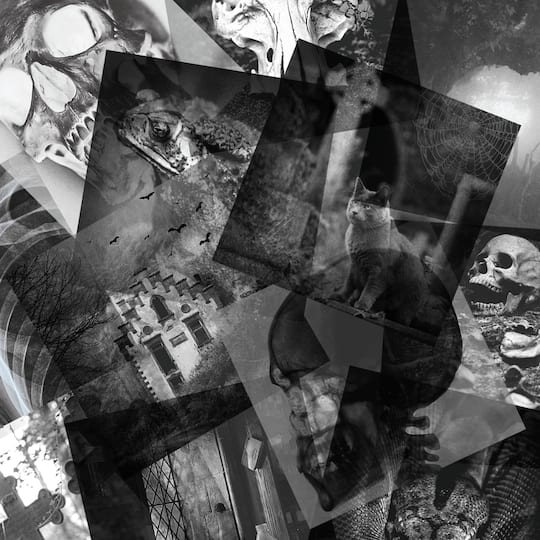 8" x 8" Haunted Halloween Acetate Pad by Recollections™, 24 Sheets
